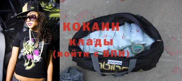 Альфа ПВП Белая Холуница