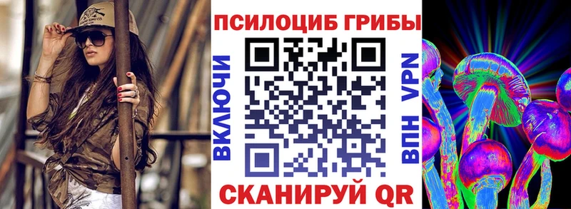 Псилоцибиновые грибы Cubensis Павловская