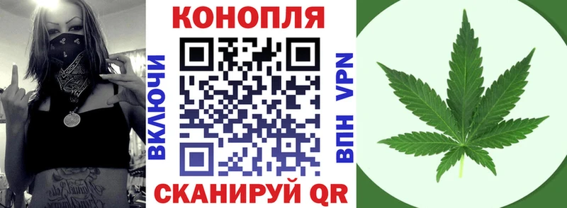 Бошки марихуана планчик  где купить наркотик  МЕГА tor  Павловская 